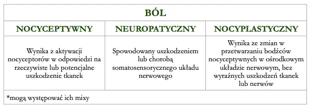 kiedy warto pójść do fizjoterapeuty z bólem
